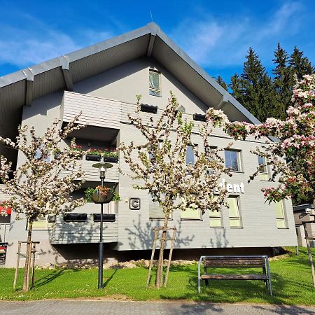 Resident Harrachov Family Apartment Экстерьер фото