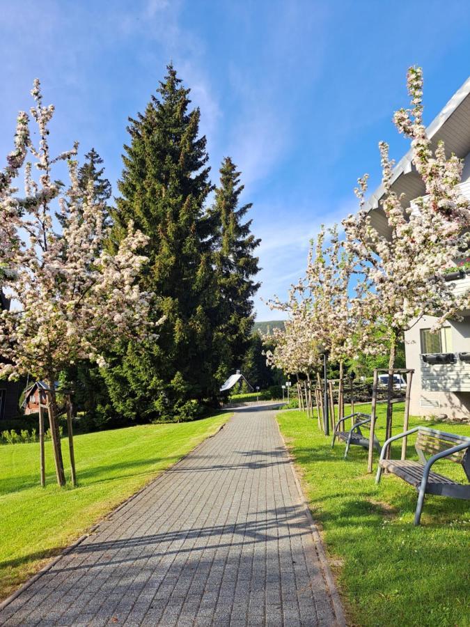 Resident Harrachov Family Apartment Экстерьер фото